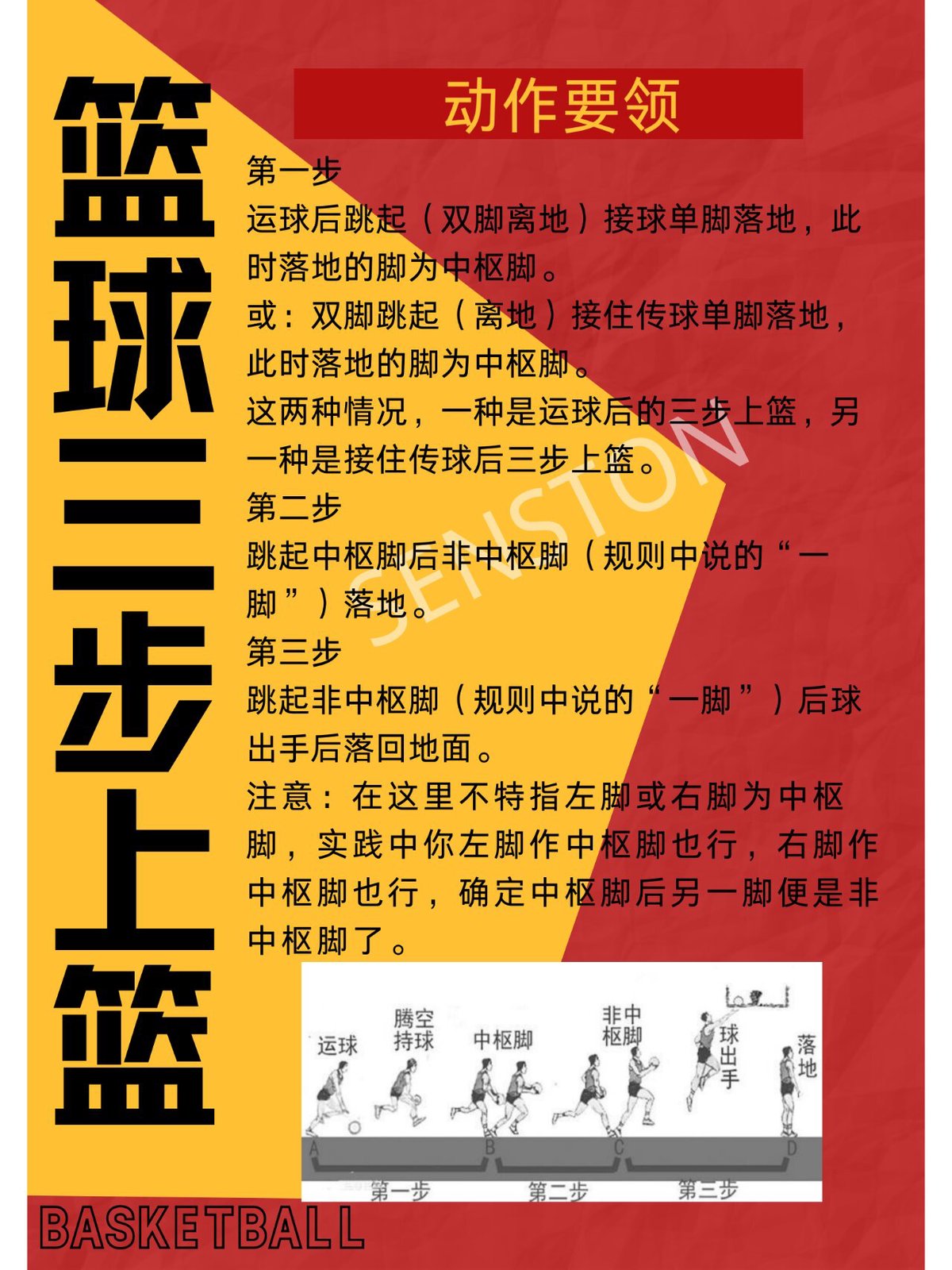 篮球训练动作要领视频教程