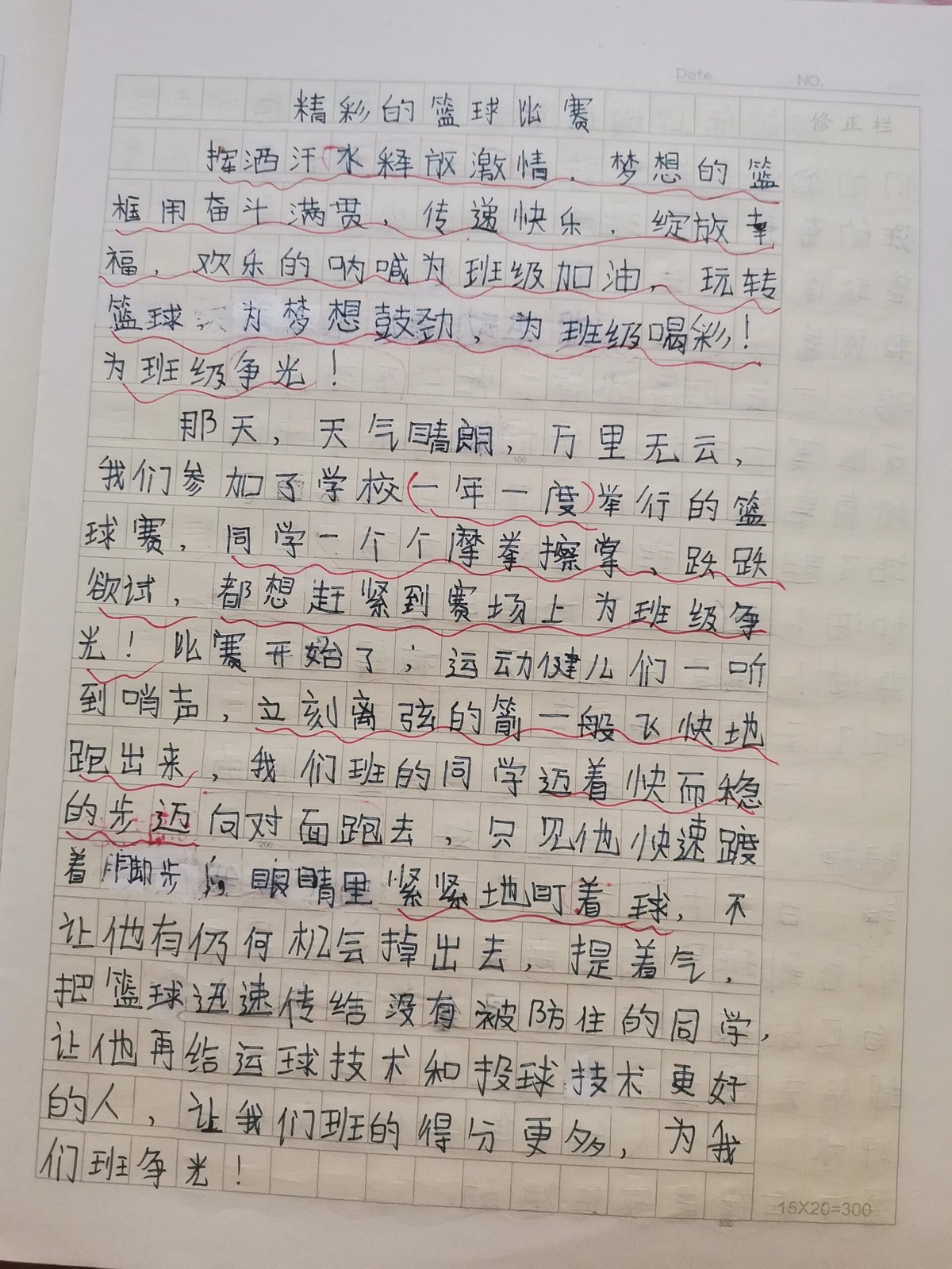 篮球训练心得体会300字作文大全图片
