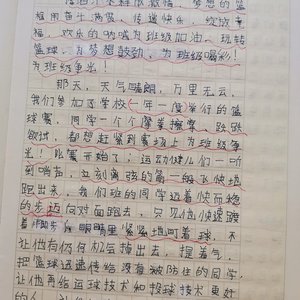 篮球训练心得体会300字作文大全图片